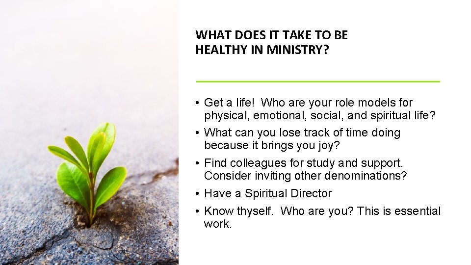 WHAT DOES IT TAKE TO BE HEALTHY IN MINISTRY? • Get a life! Who
