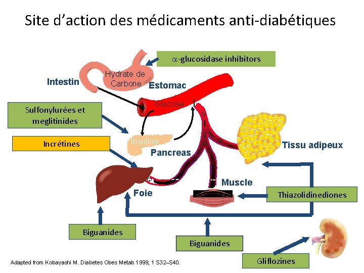 Traitement non insulinique du diabte de type 2
