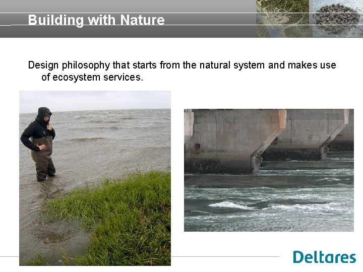 Building with Nature Design philosophy that starts from the natural system and makes use