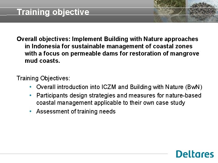 Training objective Overall objectives: Implement Building with Nature approaches in Indonesia for sustainable management