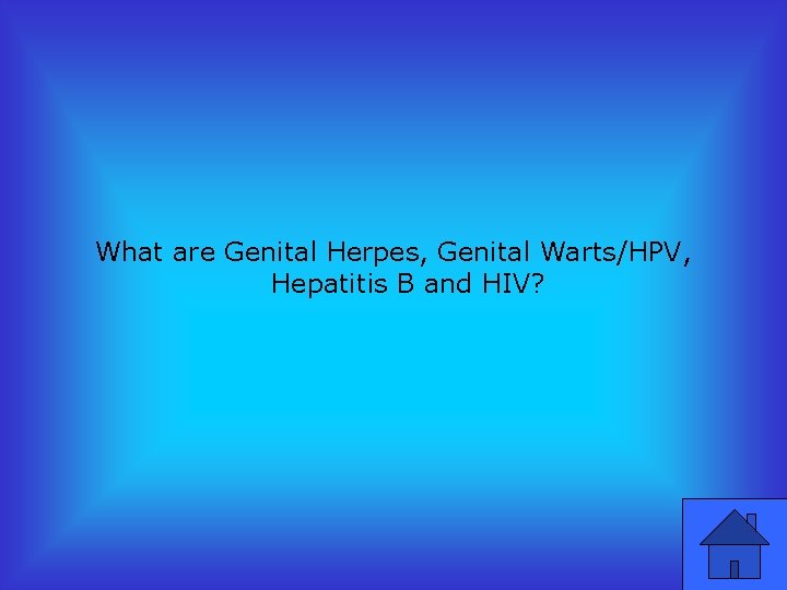 What are Genital Herpes, Genital Warts/HPV, Hepatitis B and HIV? 