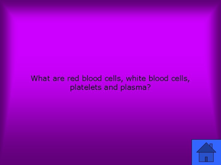 What are red blood cells, white blood cells, platelets and plasma? 