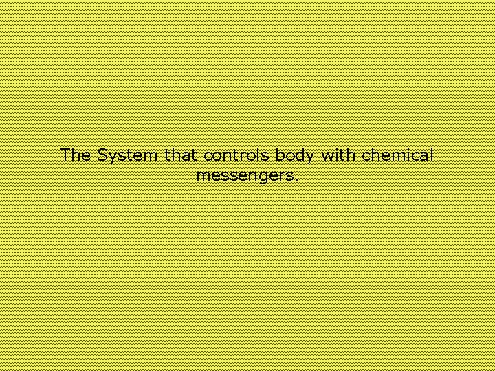 The System that controls body with chemical messengers. 