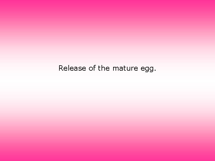 Release of the mature egg. 