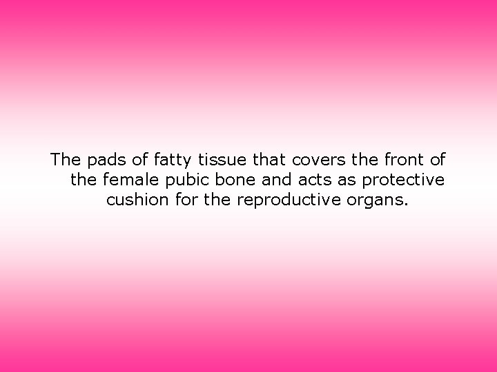 The pads of fatty tissue that covers the front of the female pubic bone