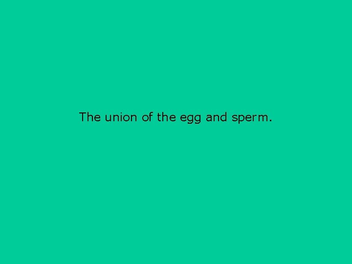 The union of the egg and sperm. 