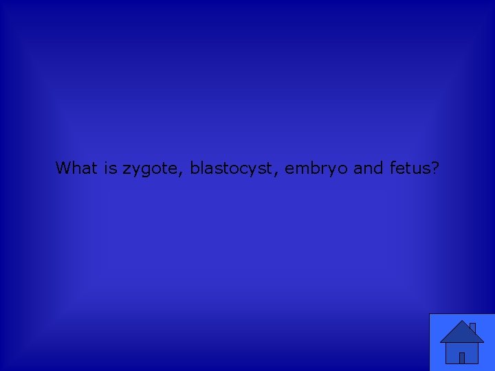 What is zygote, blastocyst, embryo and fetus? 