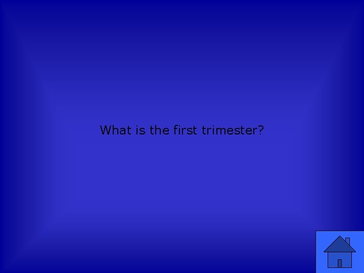 What is the first trimester? 