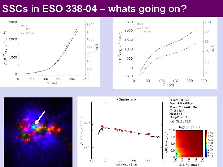 SSCs in ESO 338 -04 – whats going on? 