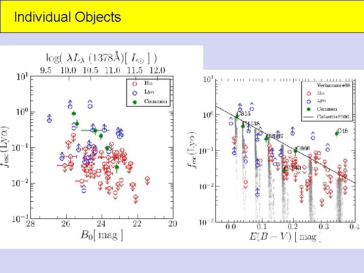 Individual Objects 