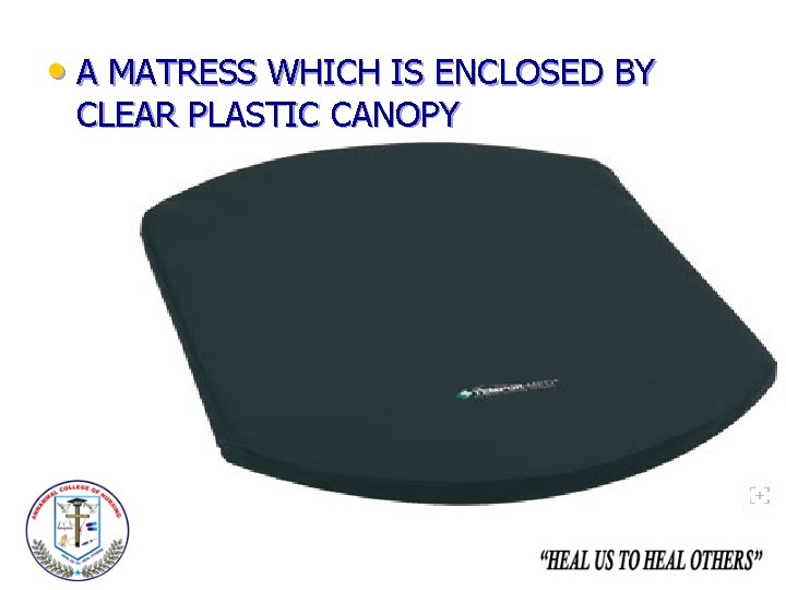  • A MATRESS WHICH IS ENCLOSED BY CLEAR PLASTIC CANOPY 