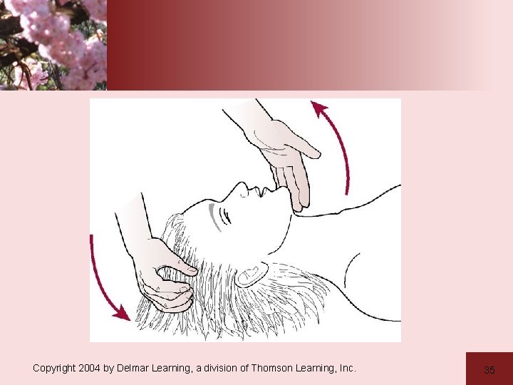 Copyright 2004 by Delmar Learning, a division of Thomson Learning, Inc. 35 