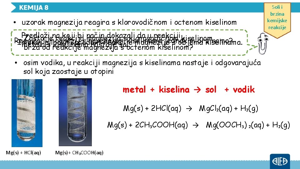  • uzorak magnezija reagira s klorovodičnom i octenom kiselinom Predloži na koji bi