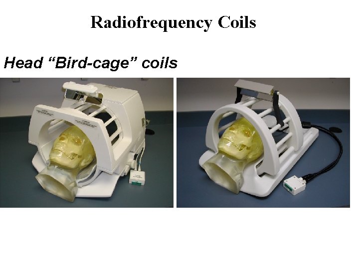 Radiofrequency Coils Head “Bird-cage” coils 