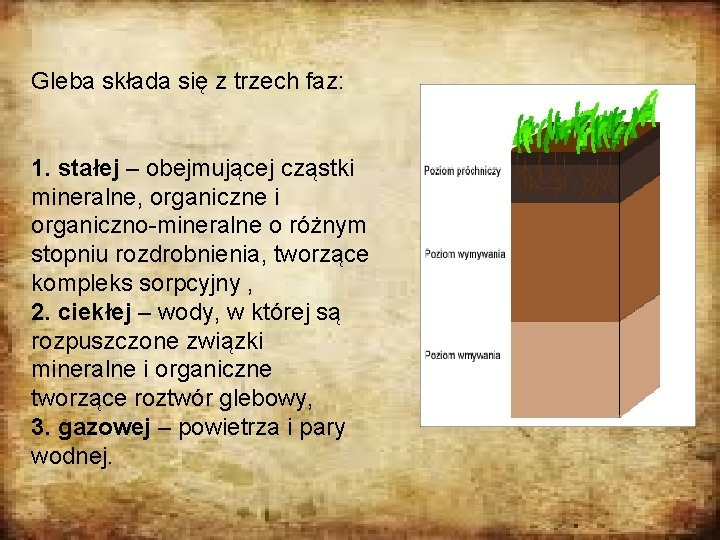 Gleba składa się z trzech faz: 1. stałej – obejmującej cząstki mineralne, organiczne i