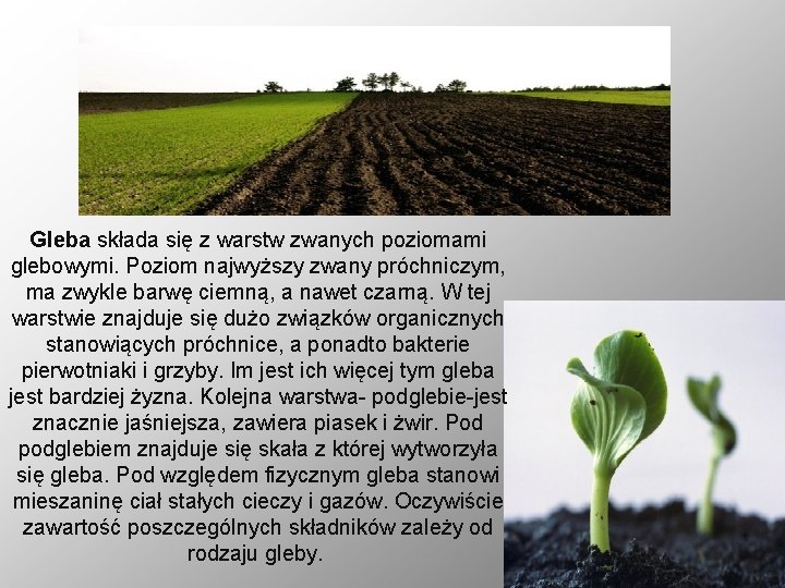 Gleba składa się z warstw zwanych poziomami glebowymi. Poziom najwyższy zwany próchniczym, ma zwykle