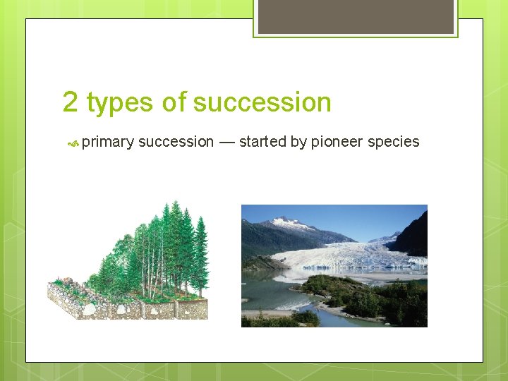 2 types of succession primary succession — started by pioneer species 2 types of succession primary succession — started by pioneer species