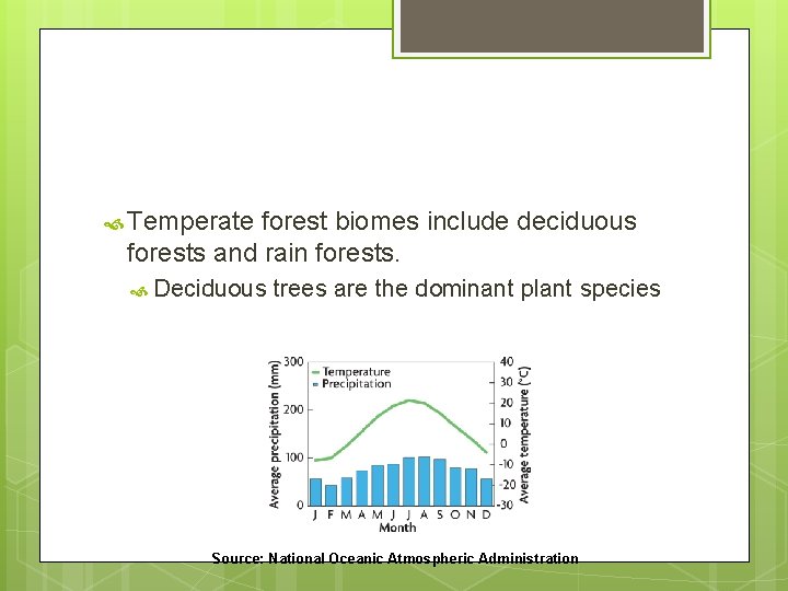 Temperate forest biomes include deciduous forests and rain forests. Deciduous trees are the Temperate forest biomes include deciduous forests and rain forests. Deciduous trees are the