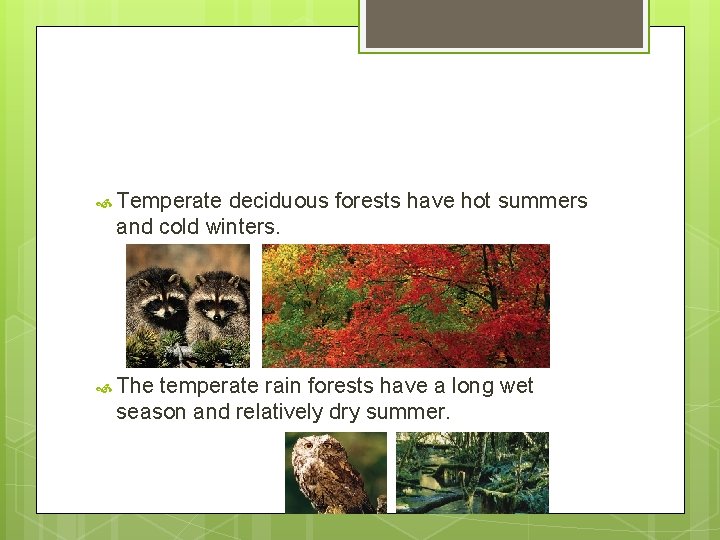Temperate deciduous forests have hot summers and cold winters. The temperate rain forests Temperate deciduous forests have hot summers and cold winters. The temperate rain forests