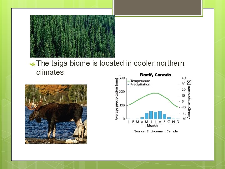 The taiga biome is located in cooler northern climates Banff, Canada Source: Environment The taiga biome is located in cooler northern climates Banff, Canada Source: Environment