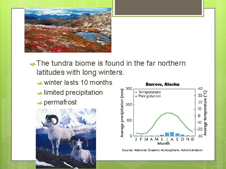 The tundra biome is found in the far northern latitudes with long winters. The tundra biome is found in the far northern latitudes with long winters.
