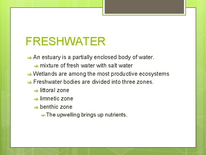 FRESHWATER An estuary is a partially enclosed body of water. mixture of fresh water FRESHWATER An estuary is a partially enclosed body of water. mixture of fresh water