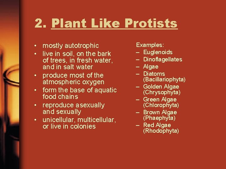 2. Plant Like Protists • mostly autotrophic • live in soil, on the bark