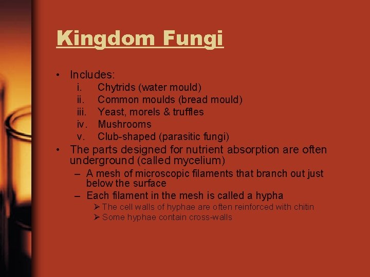 Kingdom Fungi • Includes: i. iii. iv. v. Chytrids (water mould) Common moulds (bread