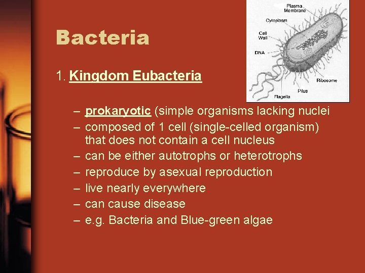 Bacteria 1. Kingdom Eubacteria – prokaryotic (simple organisms lacking nuclei – composed of 1