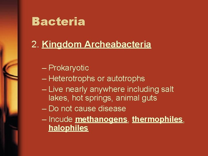 Bacteria 2. Kingdom Archeabacteria – Prokaryotic – Heterotrophs or autotrophs – Live nearly anywhere