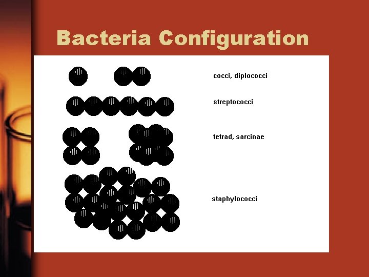 Bacteria Configuration 