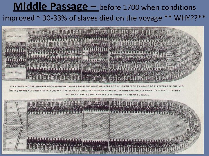 Middle Passage – before 1700 when conditions improved ~ 30 -33% of slaves died