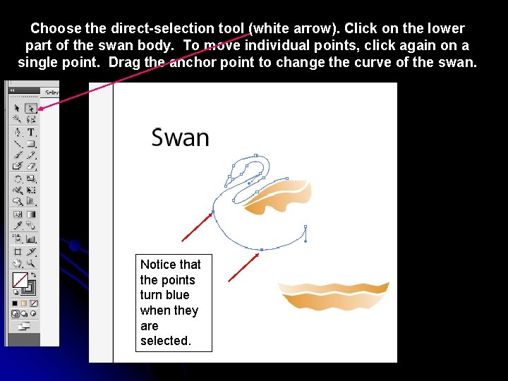 Choose the direct-selection tool (white arrow). Click on the lower part of the swan