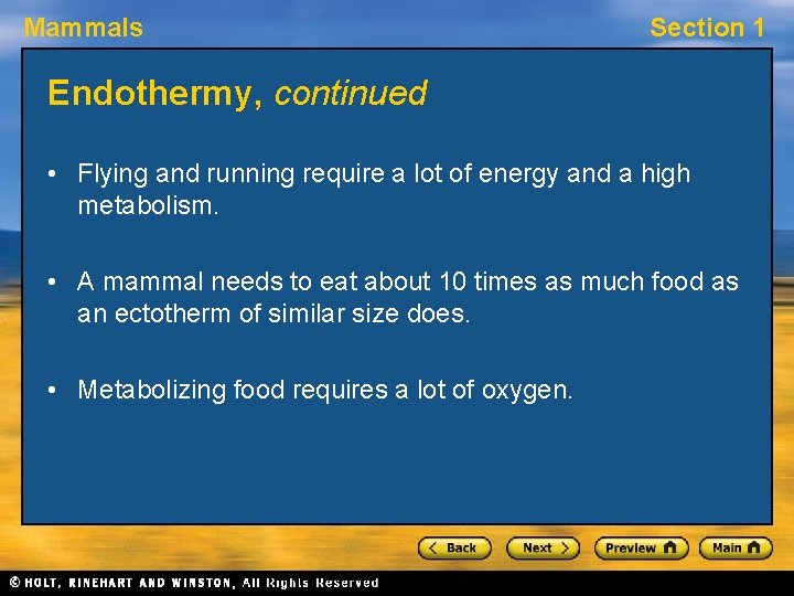 Mammals Section 1 Endothermy, continued • Flying and running require a lot of energy