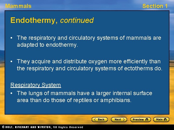 Mammals Section 1 Endothermy, continued • The respiratory and circulatory systems of mammals are