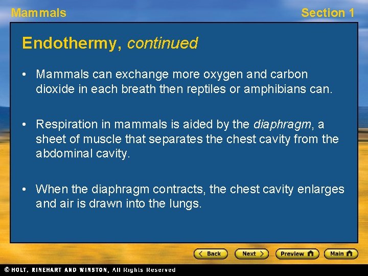 Mammals Section 1 Endothermy, continued • Mammals can exchange more oxygen and carbon dioxide