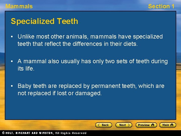 Mammals Section 1 Specialized Teeth • Unlike most other animals, mammals have specialized teeth
