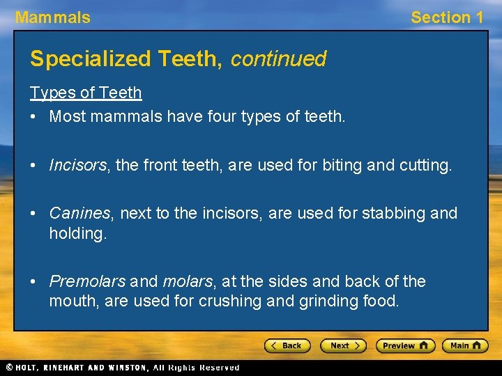 Mammals Section 1 Specialized Teeth, continued Types of Teeth • Most mammals have four