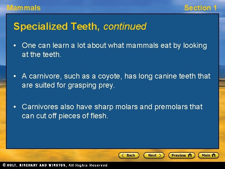 Mammals Section 1 Specialized Teeth, continued • One can learn a lot about what