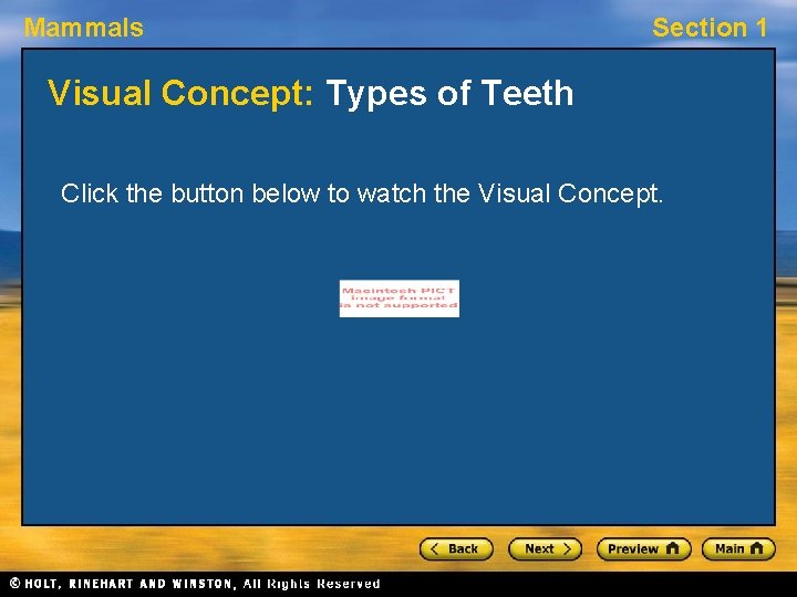 Mammals Section 1 Visual Concept: Types of Teeth Click the button below to watch