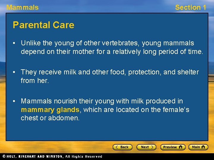 Mammals Section 1 Parental Care • Unlike the young of other vertebrates, young mammals