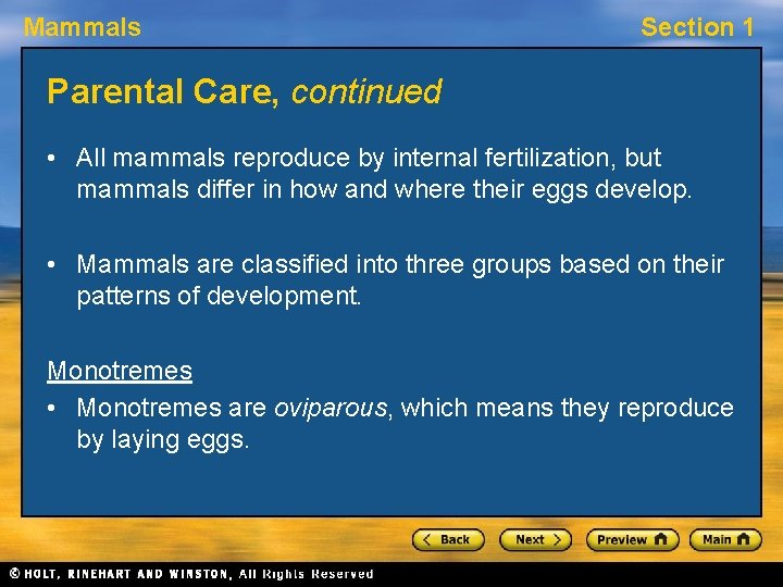 Mammals Section 1 Parental Care, continued • All mammals reproduce by internal fertilization, but