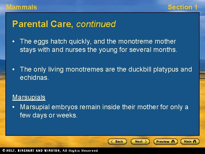 Mammals Section 1 Parental Care, continued • The eggs hatch quickly, and the monotreme