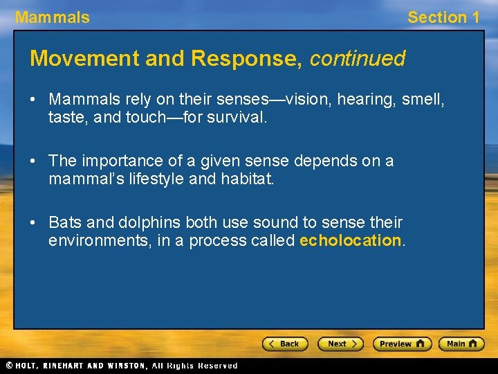 Mammals Section 1 Movement and Response, continued • Mammals rely on their senses—vision, hearing,