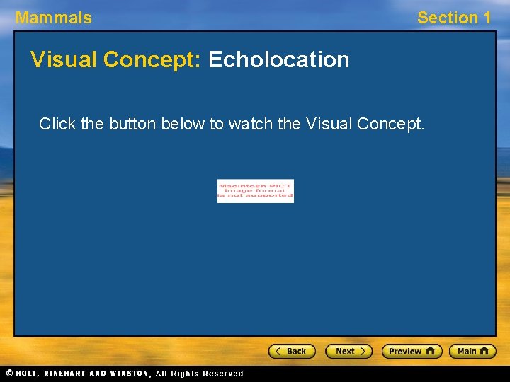 Mammals Section 1 Visual Concept: Echolocation Click the button below to watch the Visual