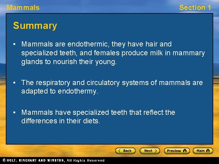 Mammals Section 1 Summary • Mammals are endothermic, they have hair and specialized teeth,