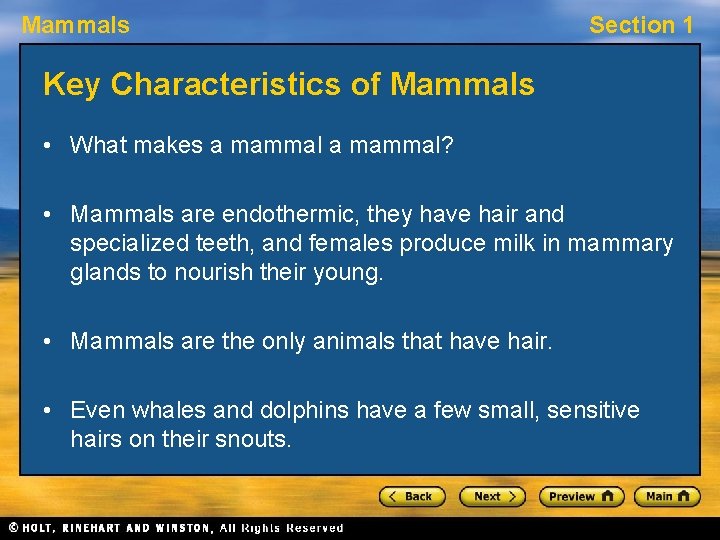 Mammals Section 1 Key Characteristics of Mammals • What makes a mammal? • Mammals