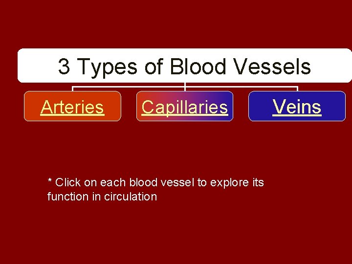 3 Types of Blood Vessels Arteries Capillaries * Click on each blood vessel to