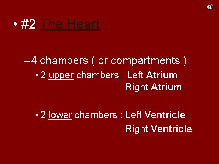  • #2 The Heart – 4 chambers ( or compartments ) • 2