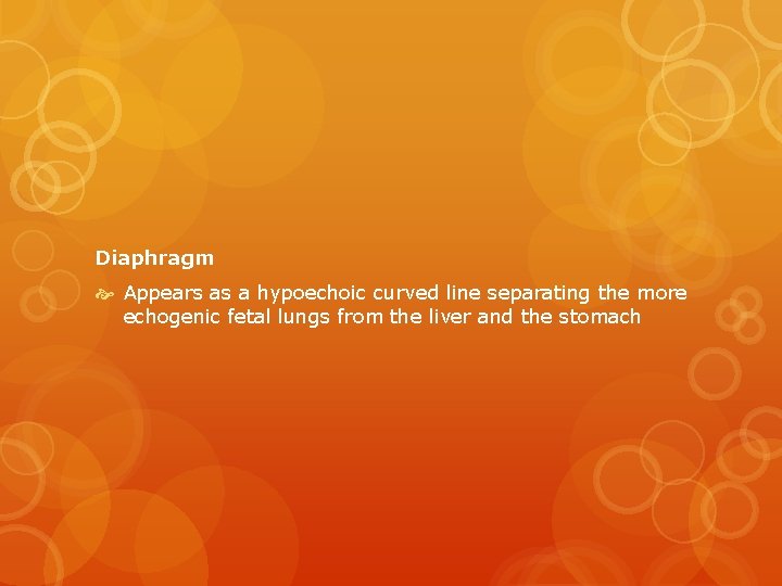 Diaphragm Appears as a hypoechoic curved line separating the more echogenic fetal lungs from